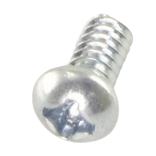 Kingman Circuit Board Screw (#JE29)
